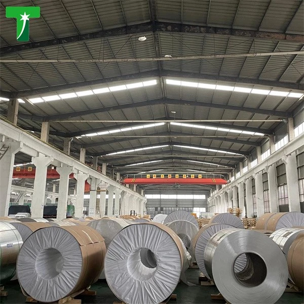 product-600-600