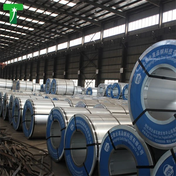 product-600-600